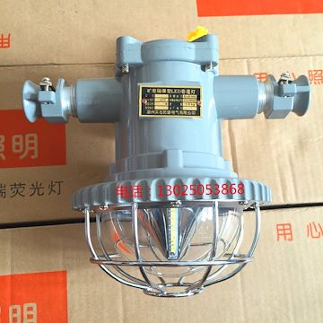 DGS18/127V矿用隔爆型LED巷道灯